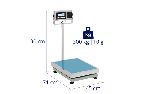 300kg 4560 scale